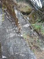 IMAG0089