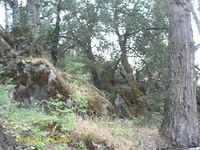IMAG0090