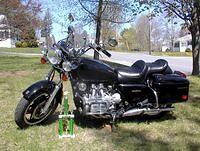 Trophy 001