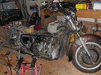 gl1100 stripped