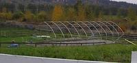 greenhouse