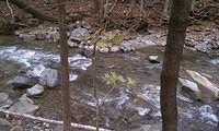 IMG_20111023_132427.jpg