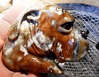 This is in final polishing stage but some details are not finished around eye and nose